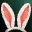RABBIT_EARS.png